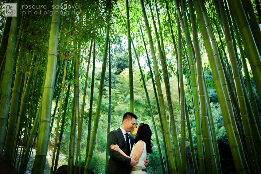 Hakone Gardens Saratoga Engagement Session