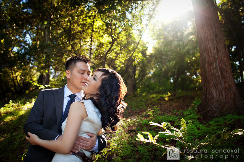 Hakone Gardens Saratoga Engagement Session