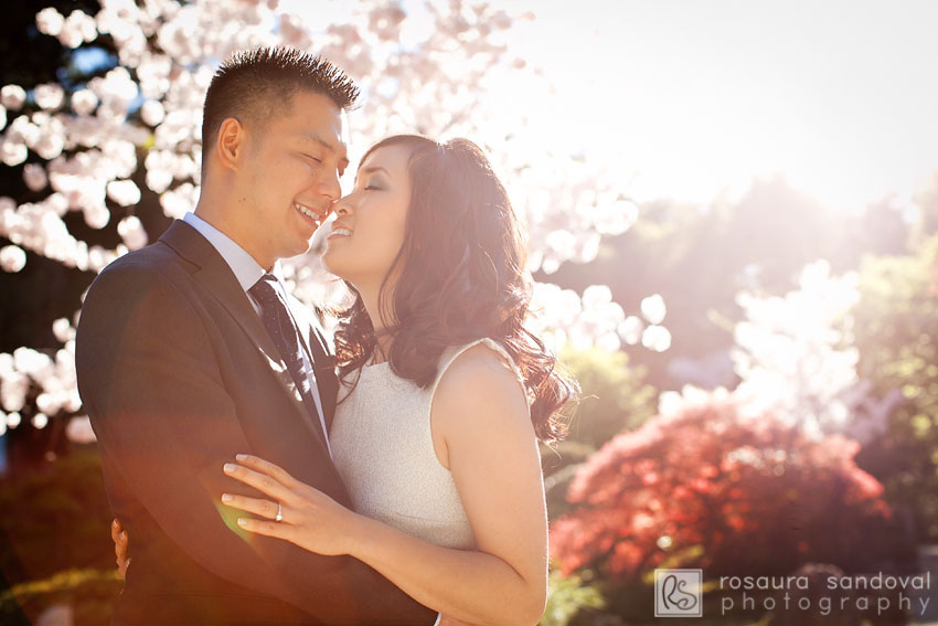 Saratoga Photographer Engagement